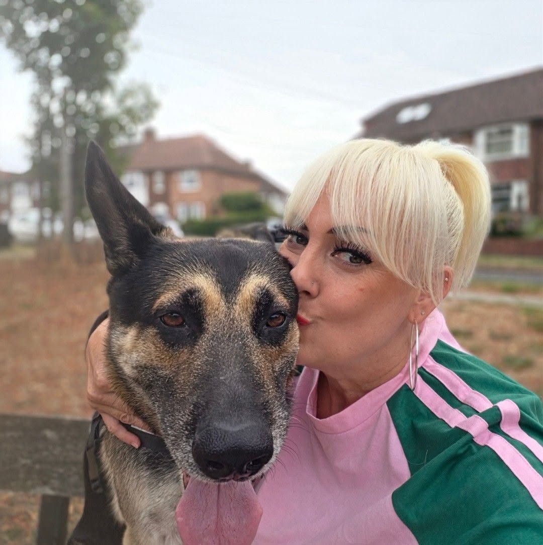 Out with a black and tan German Shepherd
